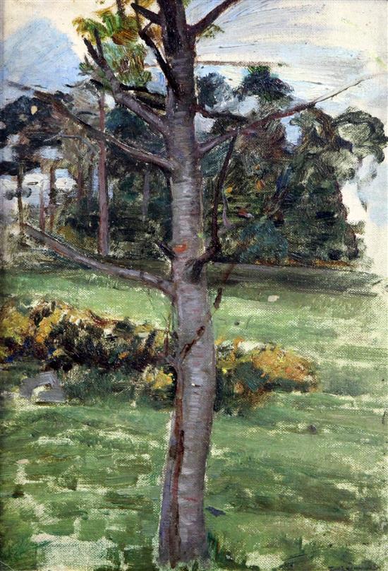 John William Waterhouse RA (1849-1917) Study of a tree 13.75 x 9.75in. Provenance: An Artist Studio Sale Christies 1926 P.598